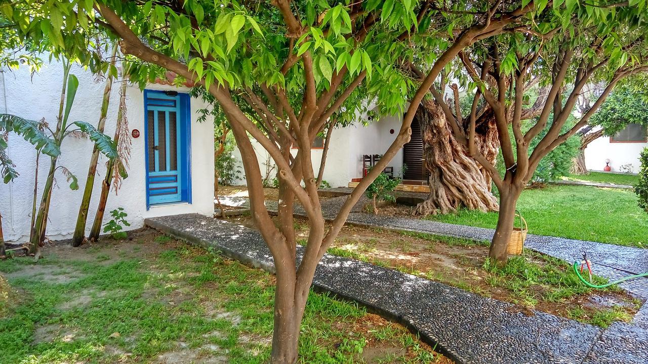 Hotel Oasis Rhodes Afantou