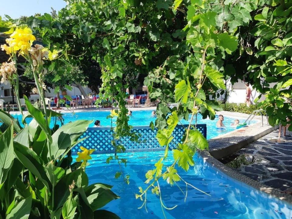 Oasis Rhodes Afando